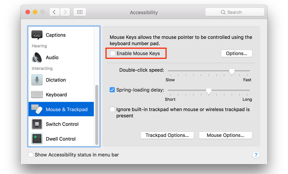 Kiểm tra Mouse Key trên Macbook
