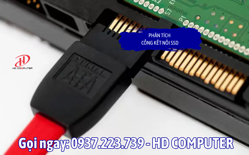 Phân Tích Cổng Kết Nối SSD