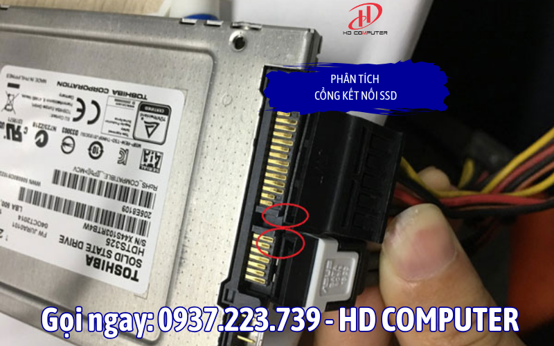 Phân Tích Cổng Kết Nối SSD